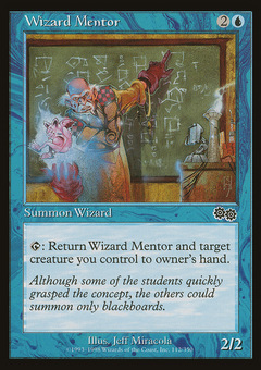 Wizard Mentor